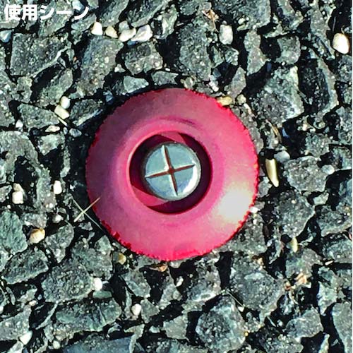 DAIDOHANT メジャーネイル(測量釘) No.03 7×75 赤マーク入 (100本入) 00008213