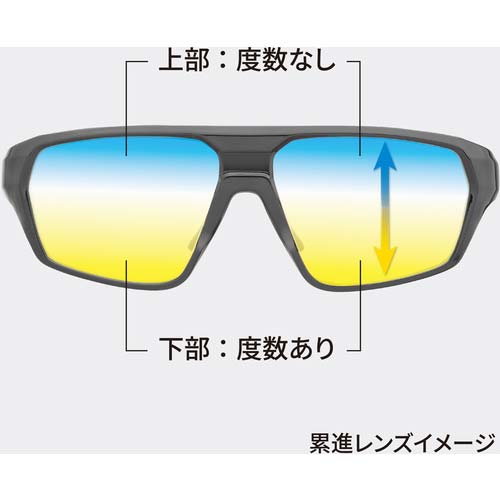 タジマ リーディンググラス 遠近両用リーディンググラス+3.0 RG-B30