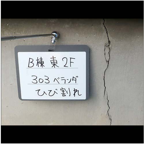 DOGYU マグボードNO1500 02165