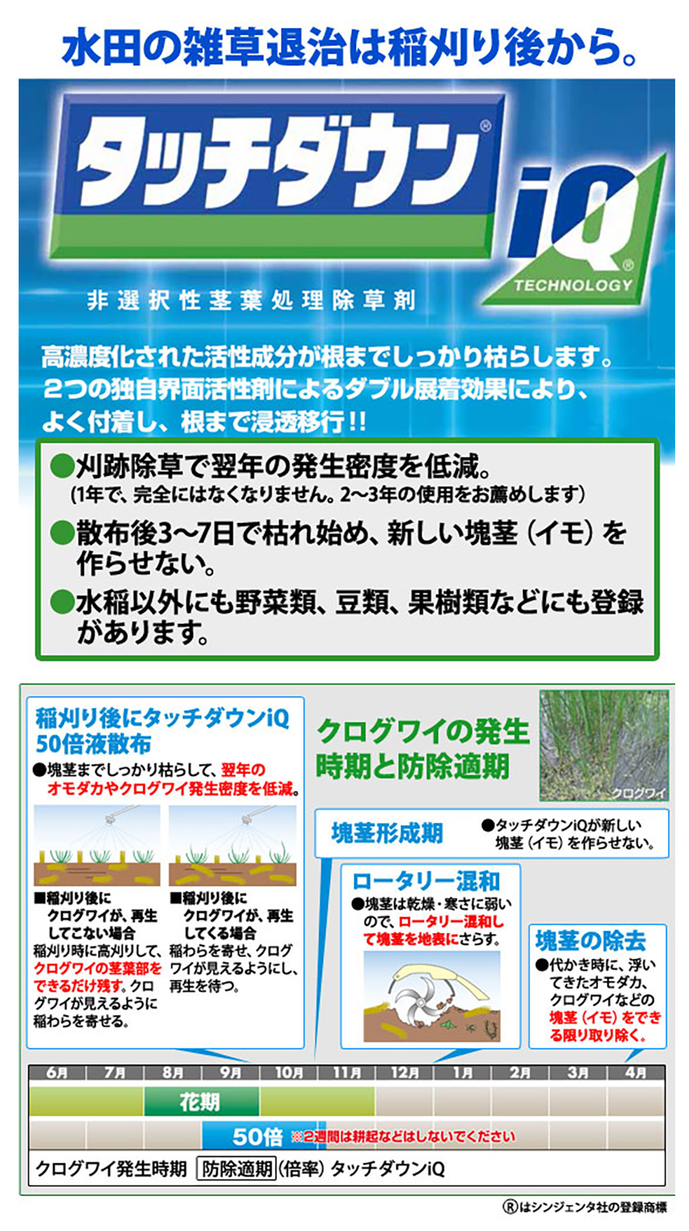 シンジェンタジャパン 茎葉処理除草剤 タッチダウンIQ
