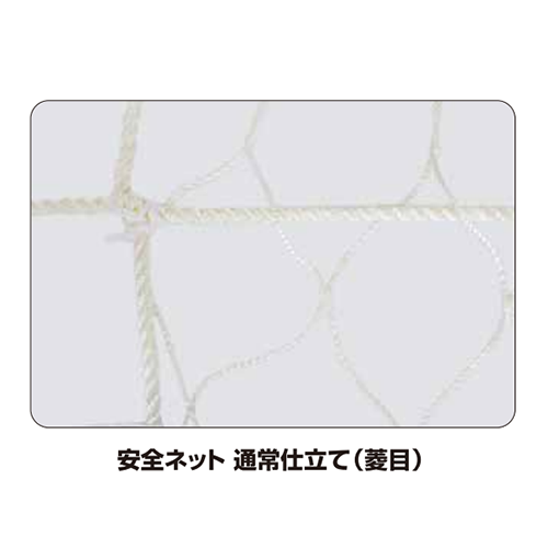 モリリン エステル安全ネット3.2φ 10cm目 10×10m 2枚入 NAW4611