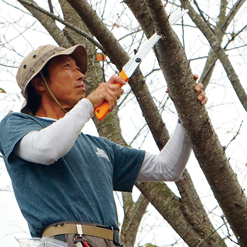 シルキー ゴムボーイカーブ 万能目 本体 210mm 460-21