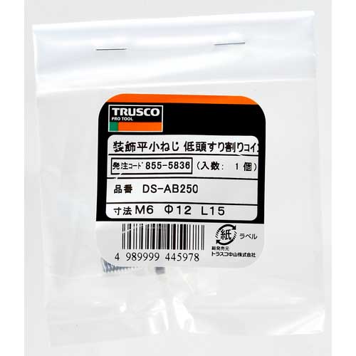 TRUSCO 装飾平小ねじ 低頭すり割りコイン M6 Φ12 L20 1個入 DS-AB251