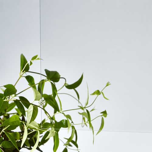 アクリサンデー アクリ表面硬化板透明550x650x5mm MR2-001-M-5