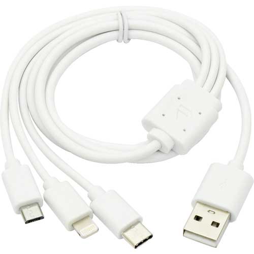 NICHIDO エンジンスターター ビッグバンF1 AS-1224JS-S