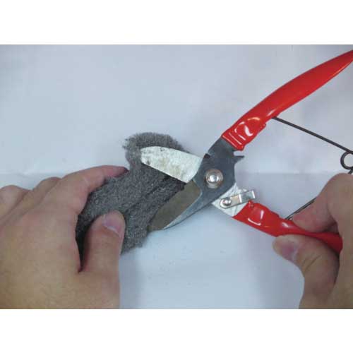 ボンスター ポンド巻 #00 B-202