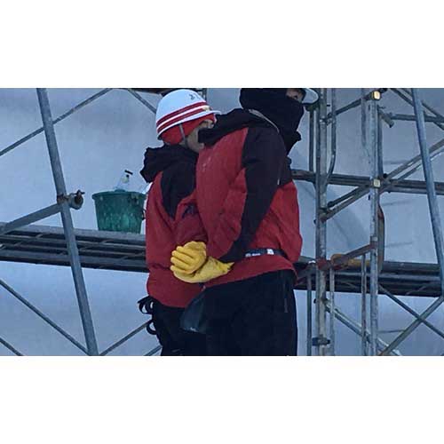 DAILOVE 防寒用ダイローブ102(LL) D102-LL