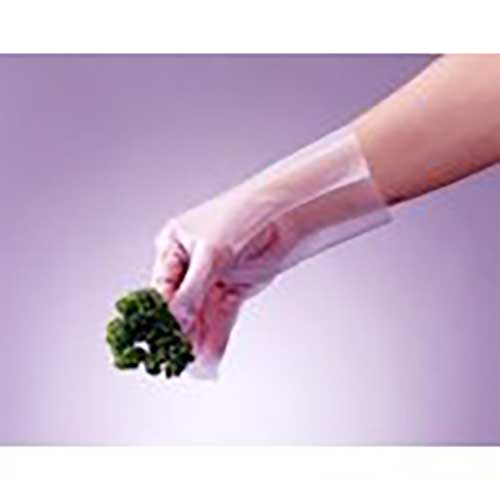 【廃番】SHOWA ポリエチレン使い捨て手袋 No826ポリエチ手袋 内エンボス100枚入 Mサイズ NO826-M