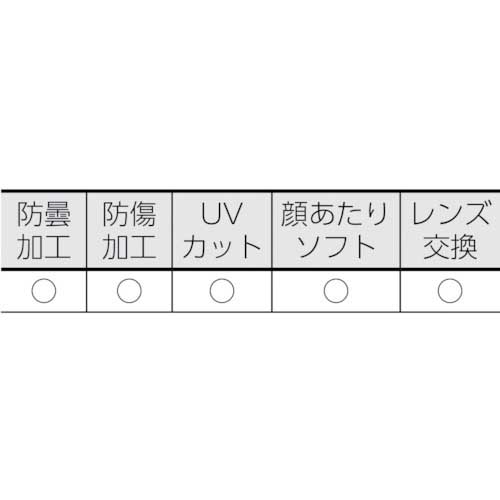 YAMAMOTO ゴグル型保護めがね バックルベルトタイプ YG-6000BB