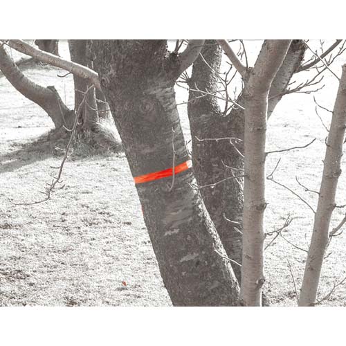 シンワ マーキングテープ15mm×50m 蛍光オレンジ 74163