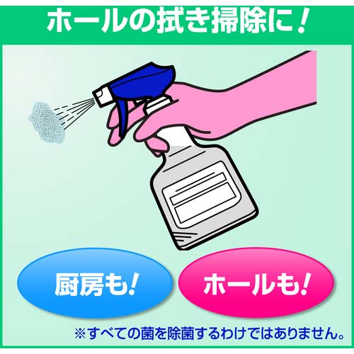 Kao 業務用かんたんマイペット 4.5L 021168