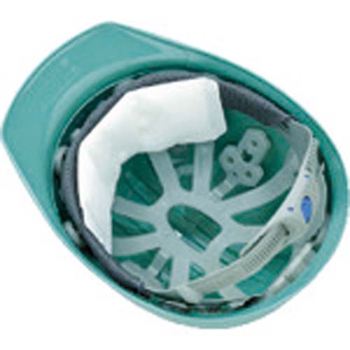 タニザワ ヘルメット用汗取りパッド吸収男児 ST#1902 (10枚入) 1902