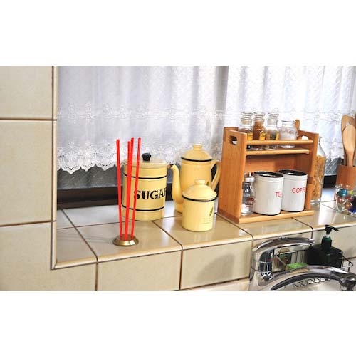 アース ハエとり棒 257215