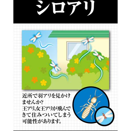 フマキラー 殺虫スプレー シロアリジェットプロ450ml 431667