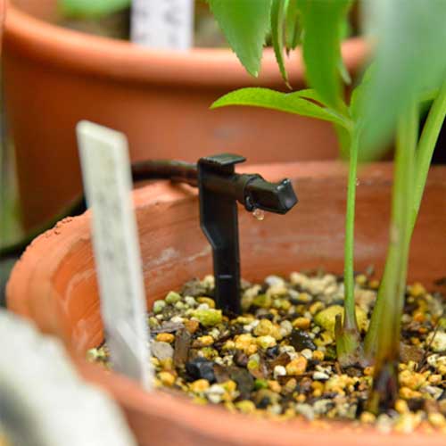 タカギ 水やりスターターキット タイマー付(鉢植え用) GKK105