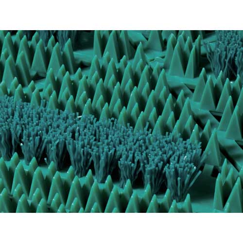 テラモト カラーブラッシュ緑 MR-096-072-1