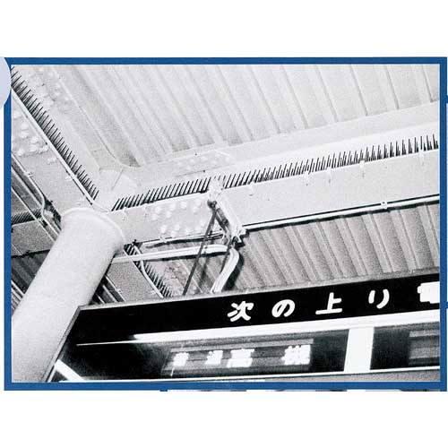 積水 ハトプロテクター 2-N型 グレー THPM2NH