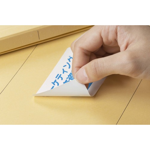 【廃番】3M エーワン ラベルシール キレイにはがせる 表示・宛名ラベル プリンタ兼用 マット紙 白 A4 6面 1袋(10シート入) 31253 31253