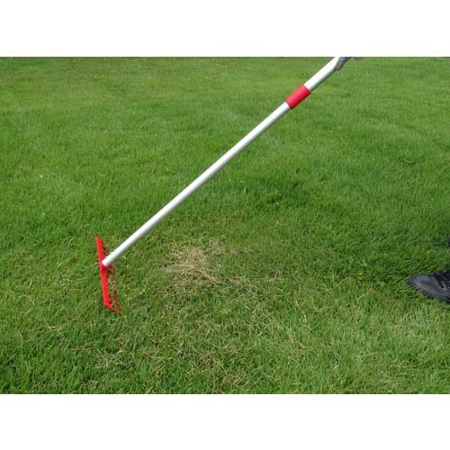 GS 芝生のサッチ取りレーキ 伸縮式 4036