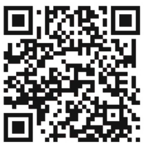 KDS 伸縮マルチロッド375 EMR-375