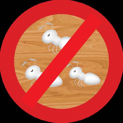 ABC 簡易型発泡ウレタンフォーム 1液ノズル&ガンタイプ インサルパック インサル防蟻フォーム 435ml フォーム色:グリーン IBF