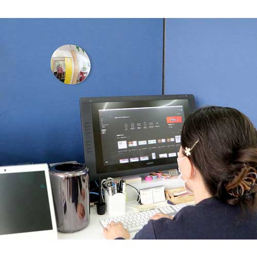 CAR-BOY どこでもミラー 大 DM-01