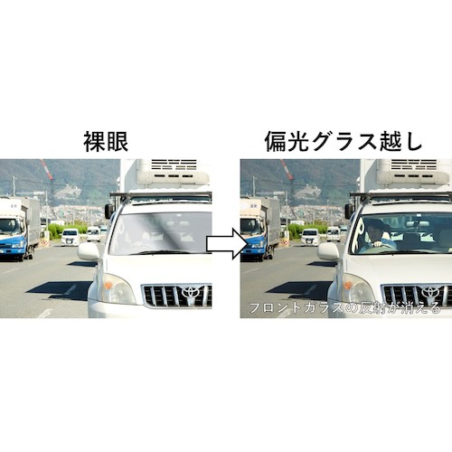 【廃番】ゼクー TITICACA(偏光) フロストグレー MB/SI F1942