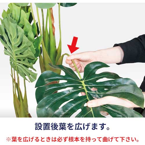【廃番】リレヤ 人工観葉植物 モンステラ(中) WD-03