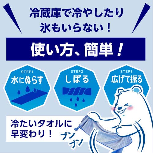 アイスノン 【2025年メーカー今季完売】 極冷えタオル 02475-0