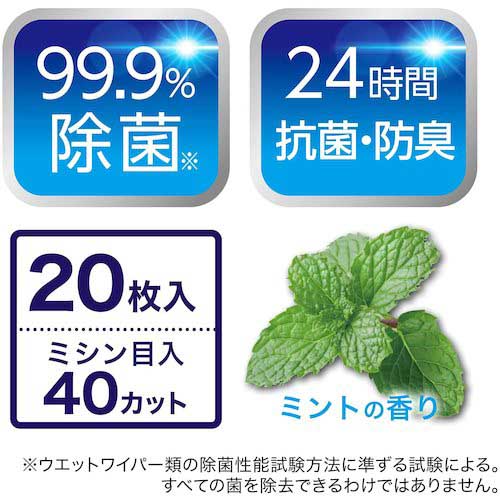 【廃番】レック 激落ちくん、クリンぱトイレクリーナー大判2P C00686