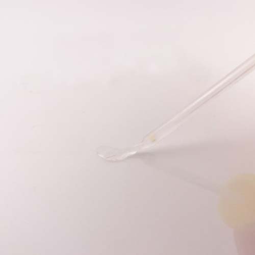 セメダイン ABS用 (透明) 30ml/ビン CA-243