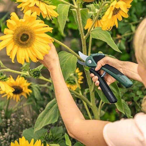 【廃番】ボッシュ コードレス剪定バサミ EASYPRUNE