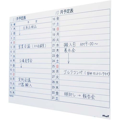 マグエックス マグネットスケジュールボードシート 月間 90120 MSVP-90120M