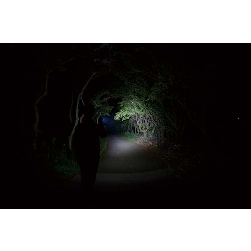 GENTOS 充電式LEDハンディライト レクシード486PB RX-486PB