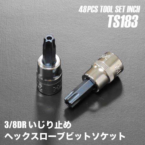 アストロプロダクツ ツールセット インチ(48点組) TS183
