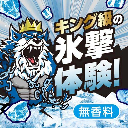 アイスノン ICE KING 極冷えボディミスト 無香料 02509-0