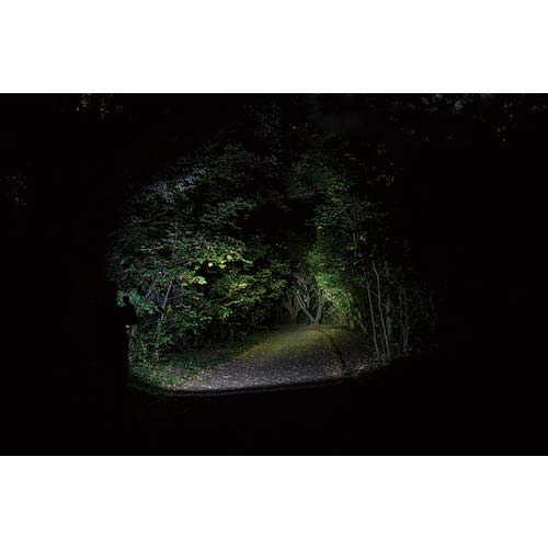 GENTOS LEDハンディライト Stella043D ST-043D