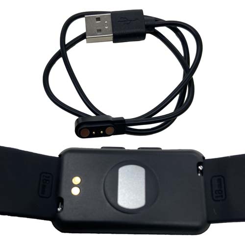 グリーンクロス 熱中対策アラート ハートウォッチ 1179072030