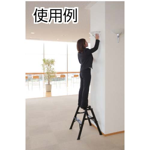 PiCa 踏台BlackEdition WAS-BK型 WAS-2ABK