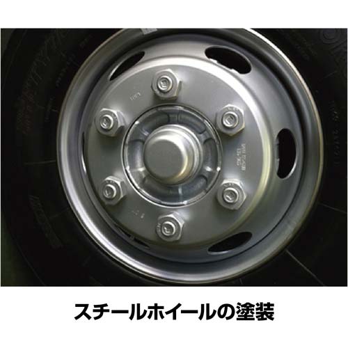 イチネンケミカルズ シルバーコート 300mL 000081