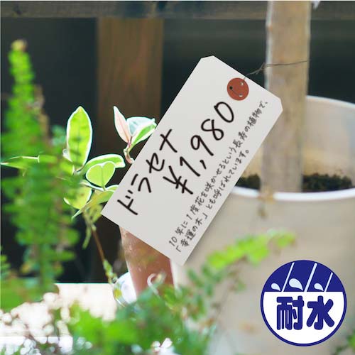 ササガワ 耐水紙荷札 大 25-1330