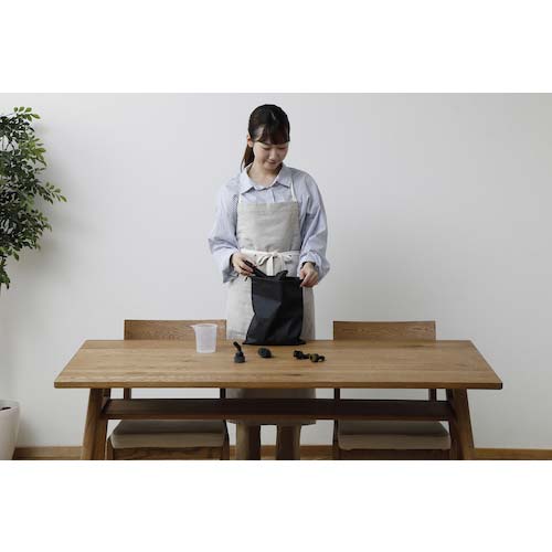 アイリスオーヤマ 102093 スチームクリーナー ハンディータイプ STM-305R-C