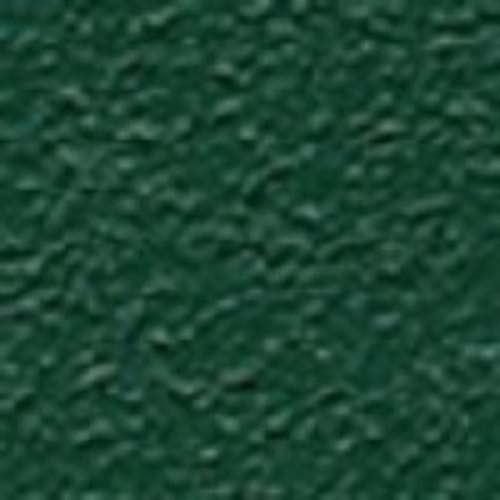 萩原 ターピー エステル帆布トラックシート 1号 軽トラック グリーン 1.9m×2.1m H1