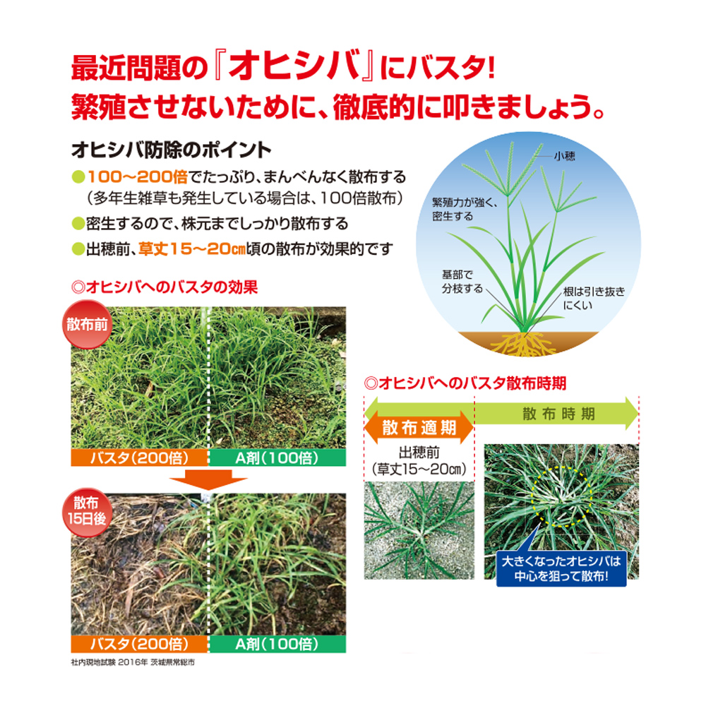 BASFジャパン 茎葉処理除草剤 バスタ液剤 5L