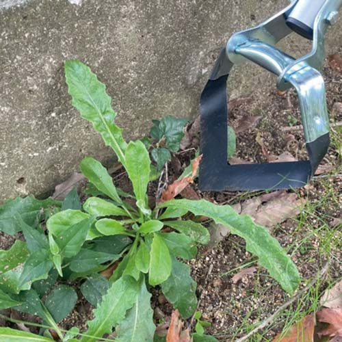 千吉 アルミ柄押し草削り 1400mm