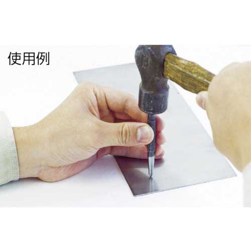 TRUSCO 超硬チップ付センターポンチ 全長M型100mm 直径Φ10 TCP-M