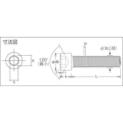 TRUSCO 六角穴付ボルト チタン 強度Ti2 全ネジ M4X10 5本入 /キャップボルト(CAP) TB97-0410