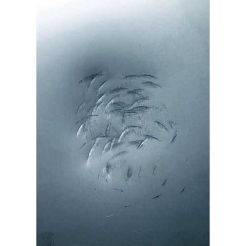 OH フラット板金ハンマー小口径(横ナラシ)#3/4 FBYS-07