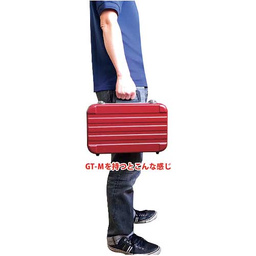 JEJアステージ ACCS ABSストロングケース BK GT-M GT-M-BK