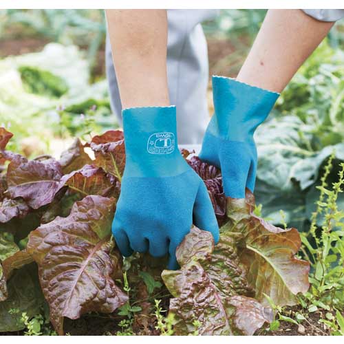 トワロン 天然ゴム手袋 ニュートワロン LL 155-2L